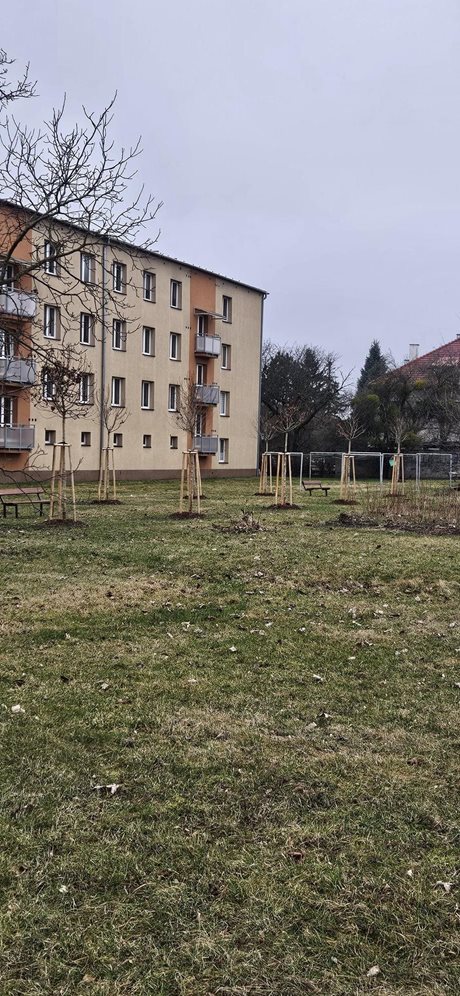Ilustrační foto
