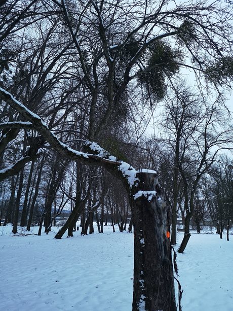 Ilustrační foto